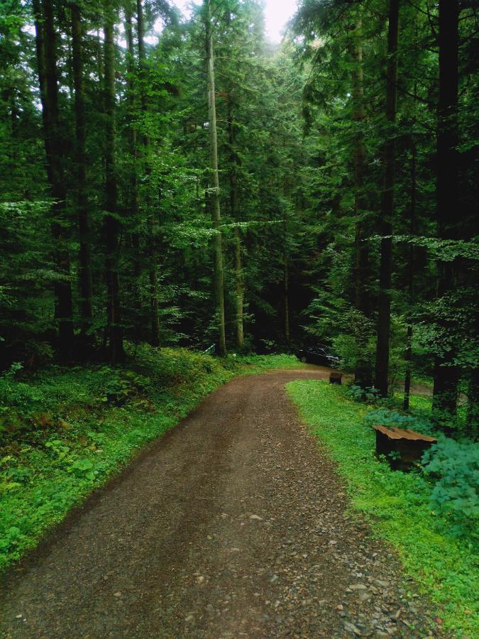 Domek Na Gorce Bieszczady Лєско Екстер'єр фото